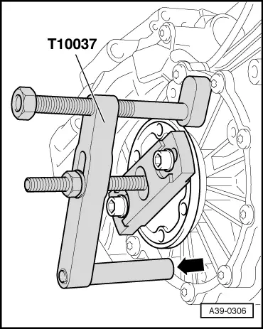 A39-0306