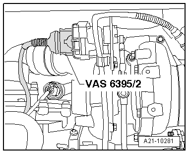 A21-10281
