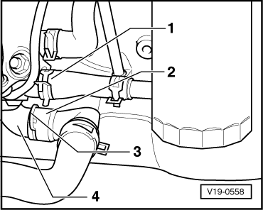 V19-0558