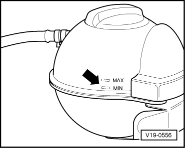 V19-0556