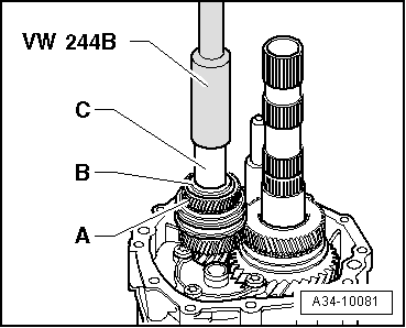 A34-10081