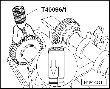 N15-10381