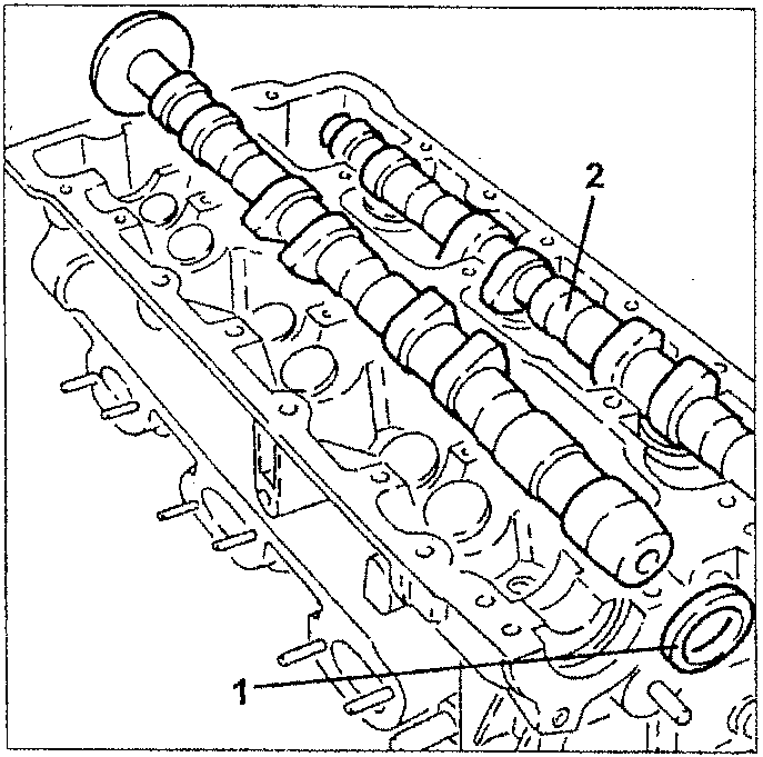 Camshaft and oil seal removal view