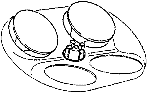 Combustion chamber with spark plug and valve mushrooms
