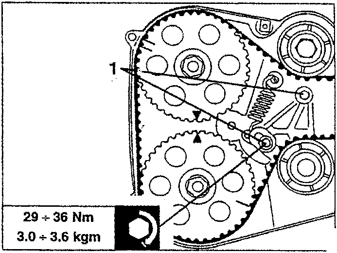 Timing belt tensioner adjustment diagram showing pulleys and tensioner with torque specification 29 + 36 Nm and 3.0 + 3.6 kgm