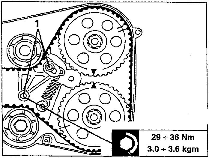 Timing belt tensioner adjustment diagram showing pulleys and tensioner with torque specification 29 + 36 Nm and 3.0 + 3.6 kgm