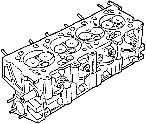 Cylinder head with multiple valve seats and bolt holes