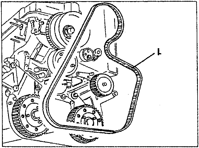 Timing gear belt and camshaft toothed drive pulley