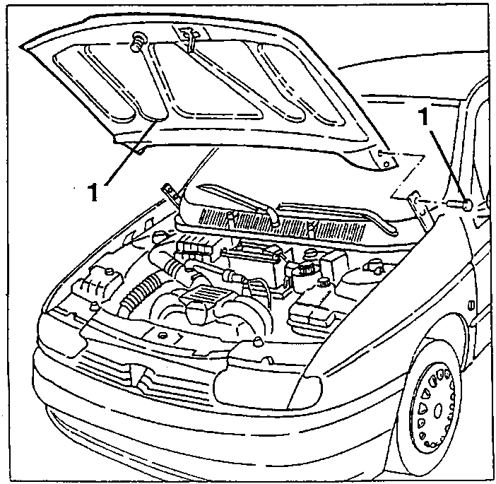 Raised bonnet with the hinge screws 1 and support rod