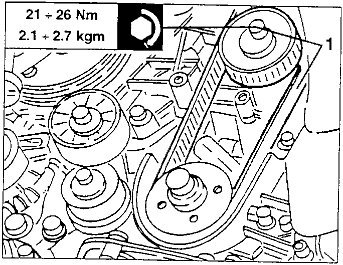Timing gear belt tensioner and belt