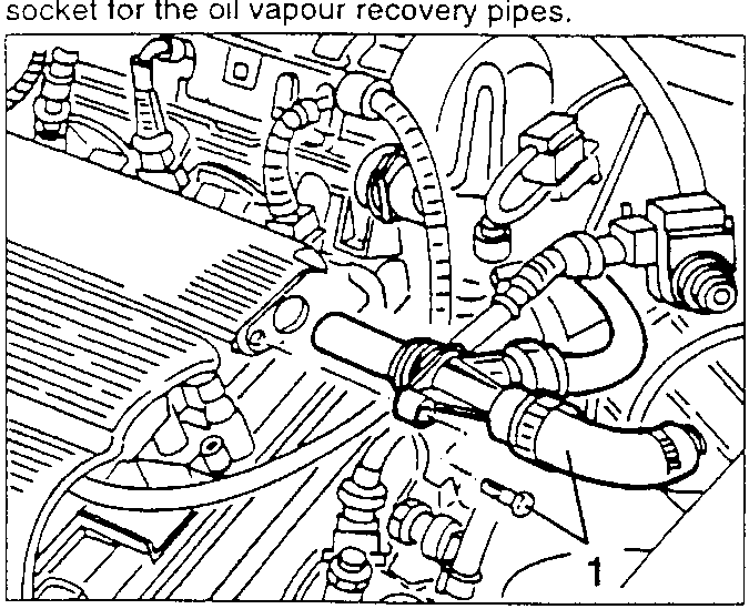 Engine with oil vapour recovery pipes