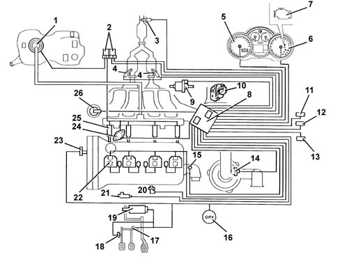 Introduction - PETROL INJECTION SYSTEM