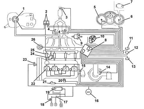 Introduction - PETROL INJECTION SYSTEM