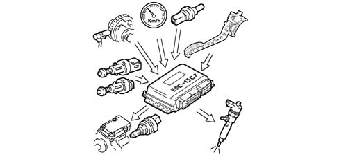 Introduction - DIESEL FUEL INJECTION