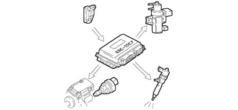 Introduction - DIESEL FUEL INJECTION