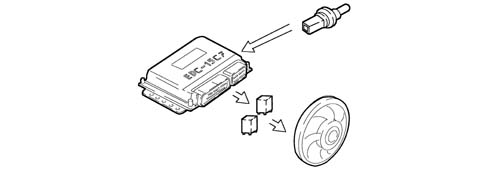 Introduction - DIESEL FUEL INJECTION