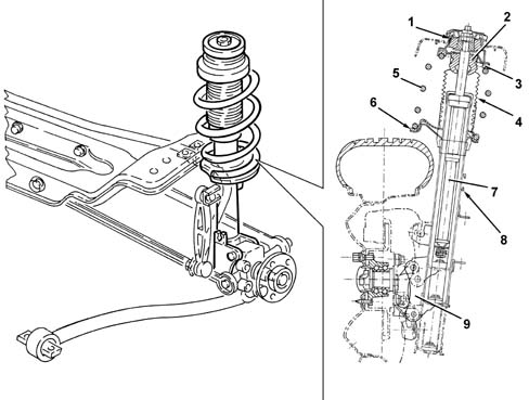 Rear dampers and springs