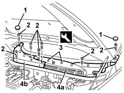 Windscreen base TRIM - R.R.