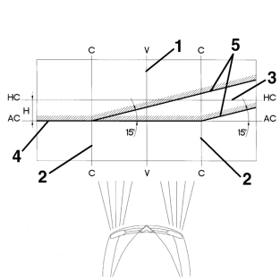 Headlamp/light cluster light beam - position