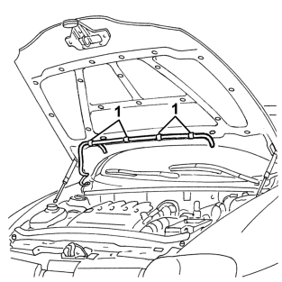 Bonnet