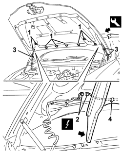 Bonnet