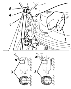 Bonnet