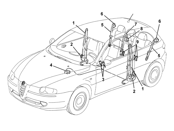 Safety belts and accessories – composition