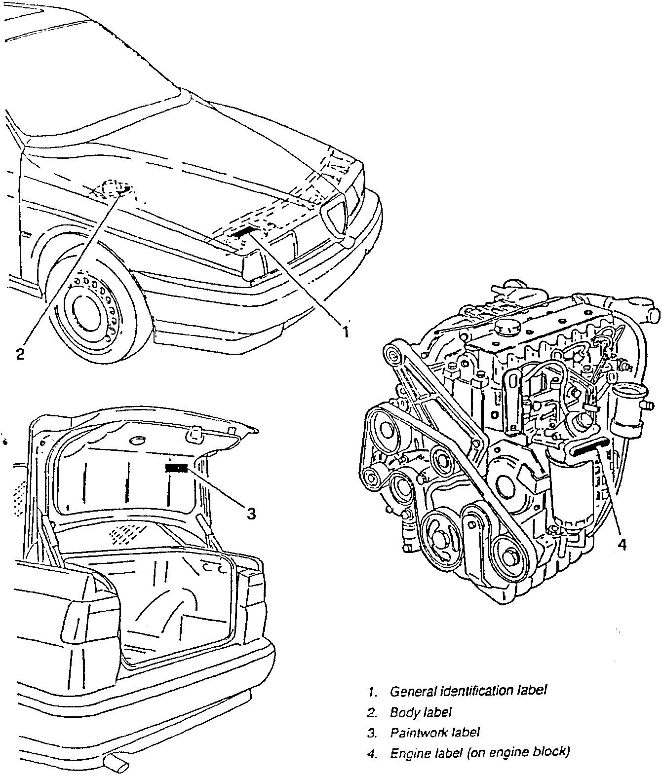 Diagram showing locations of identification labels on a car: general label on front fender, body label on side panel, paintwork label in trunk, and engine label on engine block.