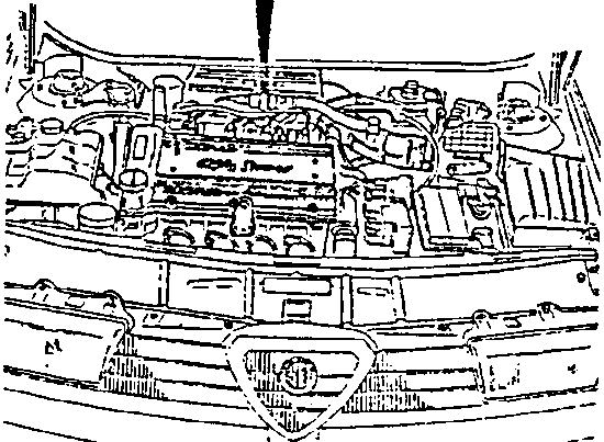 Engine bay view showing fuel system components