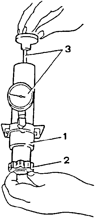 Test tool with hands operating piston and gauge