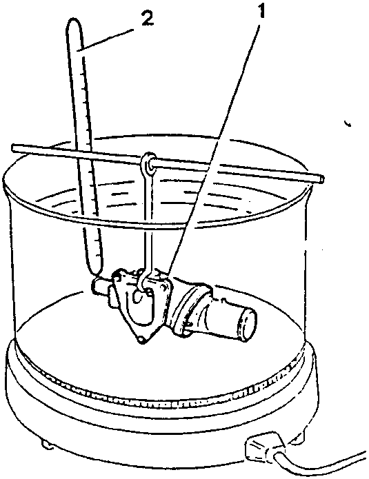 Thermostat testing setup with thermometer and container