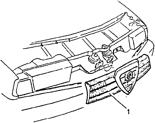 Front view of vehicle front end showing grille and trim strips