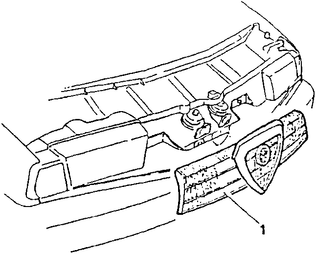 Front view of car's front end showing grille and trim strips