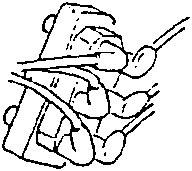 Ignition Coils