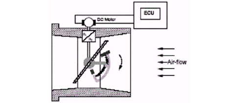 INTRODUCTION - PETROL DIRECT FUEL INJECTION SYSTEM