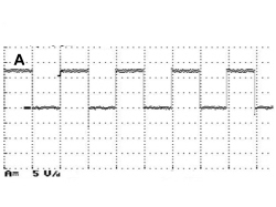 SPEED SIGNAL CHECK