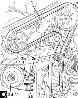 TOOTHED TIMING BELT - R R WITH ENGINE REMOVED