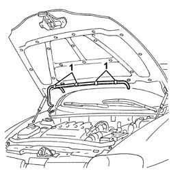 STRIPPING BONNET LID