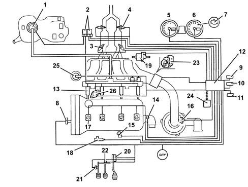 DIRECT PETROL INJECTION SYSTEM