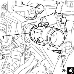 THROTTLE CASING with D.V.L. - R.R .