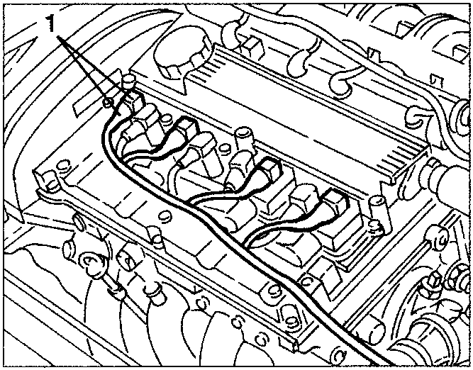 Engine with ignition coils and wiring