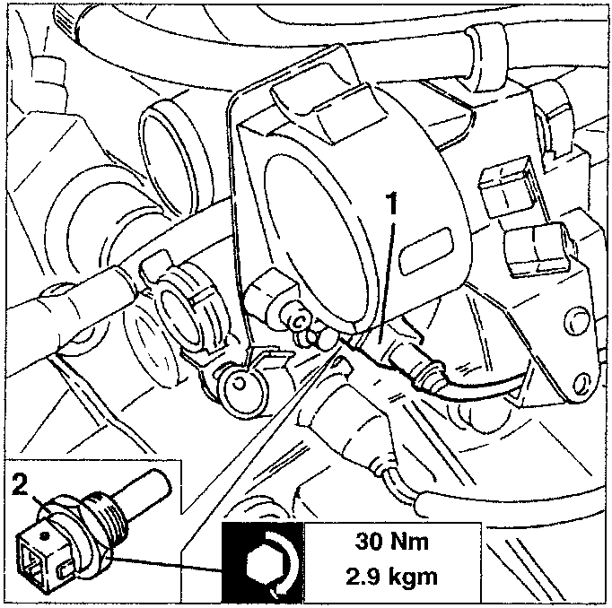 Engine coolant temperature sensor (NTC) with wiring and mounting bolt, showing torque specification 30 Nm / 2.9 kgm