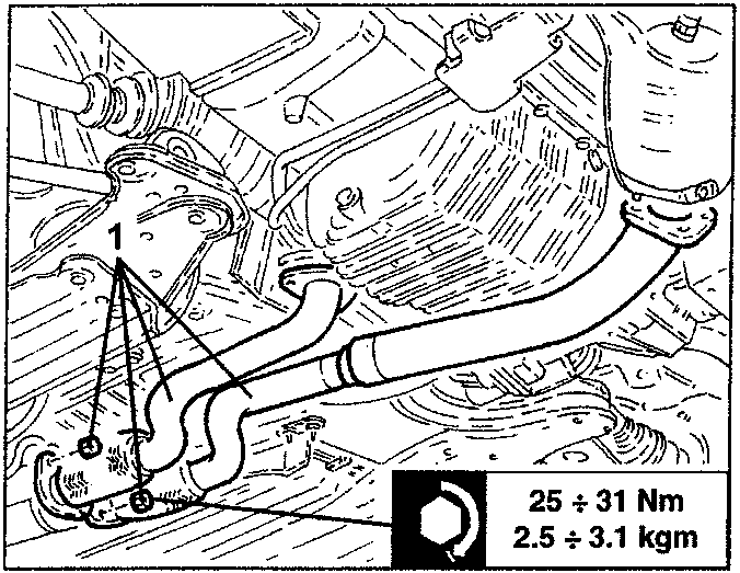 Exhaust pipe nuts near catalytic converters