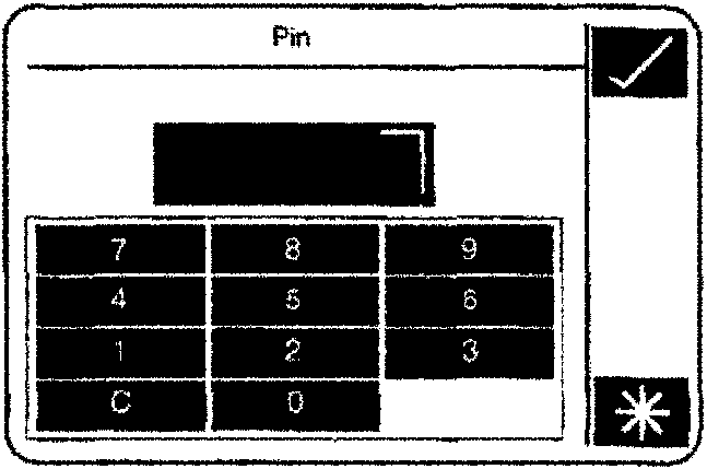 Numeric Keypad Interface Showing Pin Entry