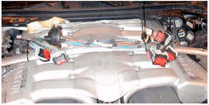 View of engine wiring harness plugs secured to the engine cross brace
