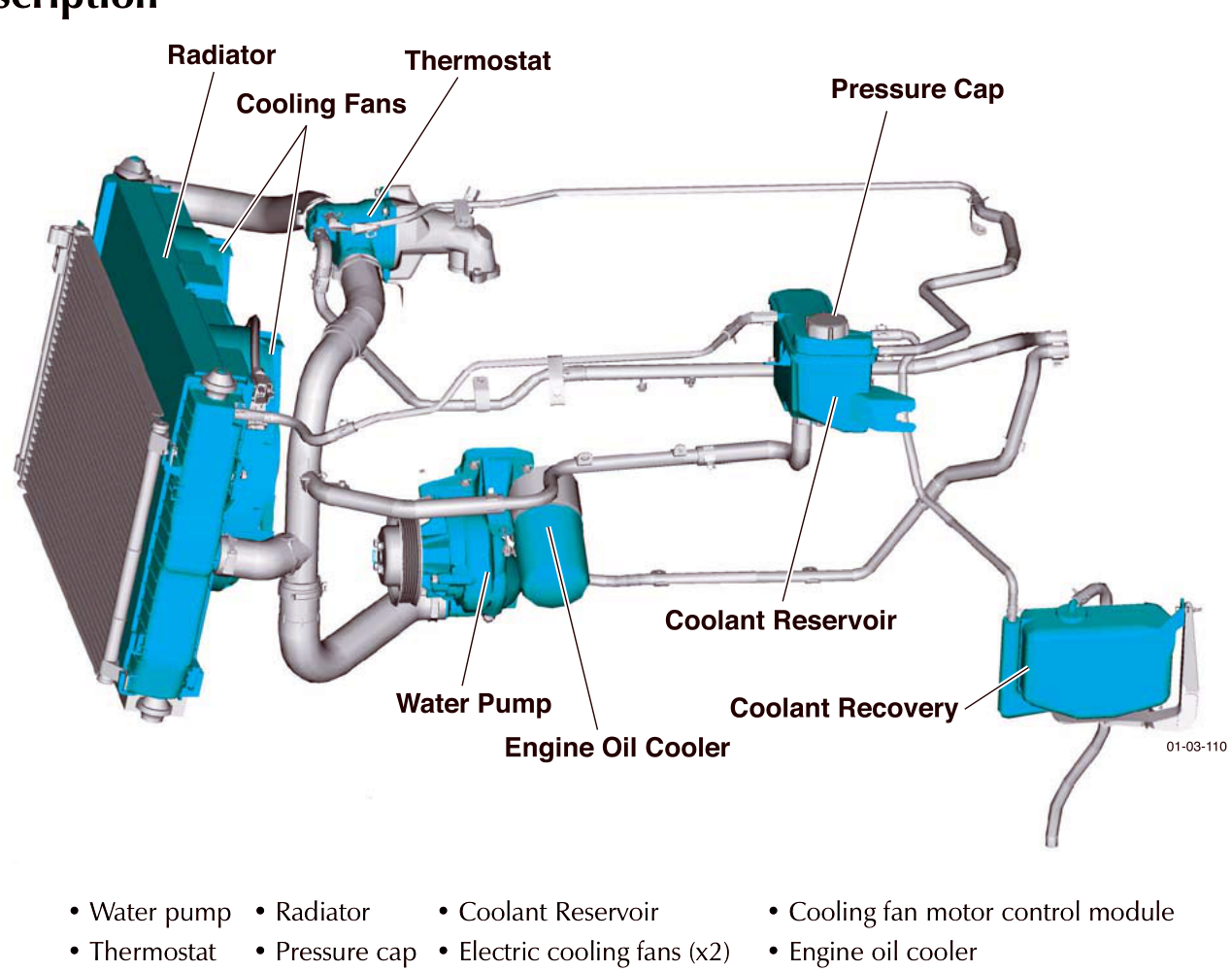 Diagram of the cooling system components including radiator, thermostat, cooling fans, pressure cap, water pump, engine oil cooler, coolant reservoir and coolant recovery