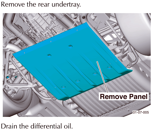 Diagram showing the rear undertray panel highlighted in blue with a callout 'Remove Panel' pointing to it.