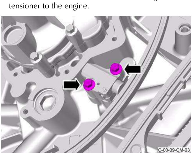 Two bolts attaching tensioner to engine
