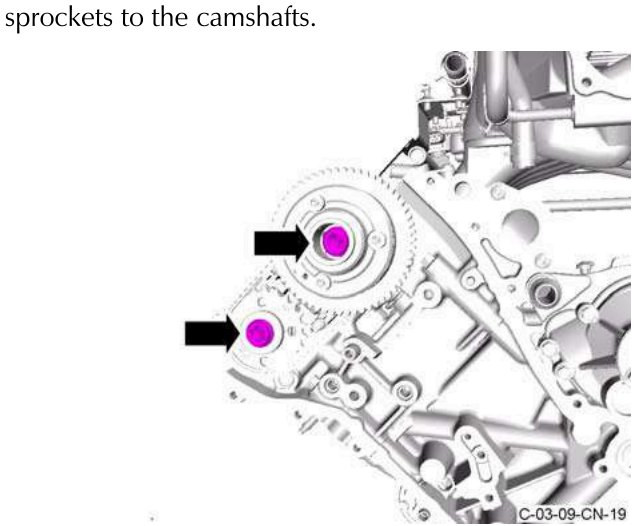 Two Torx bolts on camshaft pockets