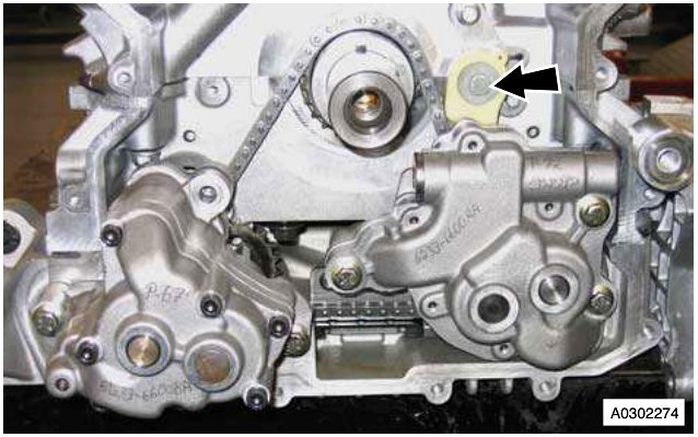 Close-up of engine components showing a bolt and chain tensioner